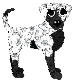 Funfetti's Botanical Sketchbook — “Petaline”