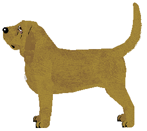 Lapis Lost Voice — “Io”