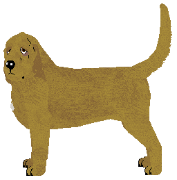 Profile image of Lapis Lost Voice