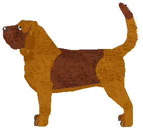 Lapis Burnt and Frozen Earth — “Phaethon”