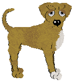 Chachke's Rich in Spices — “Zanzibar”