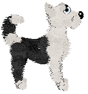 Profile image of Chachke's Pour One Out