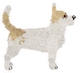 Profile image of Carousel's Buttermilk Biscuit