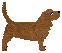 Carousel's Mighty Oak — “Acorn”