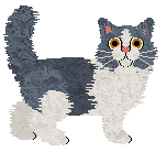 Fauvelle's Bye Bye Baby Blue — “Blue”