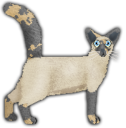 Profile image of Blizzard Milkshake