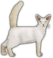 Profile image of Blizzard Little Ray of Sunshine