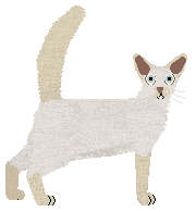 Blizzard Little Ray of Sunshine — “Sunshine”