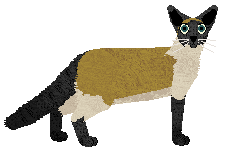 Blizzard Peanutbutter — “Rykoszet”