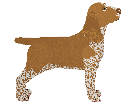 Coventry's Feeling Strong — “Baldoni”