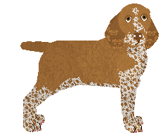 Profile image of Coventry's Feeling Strong