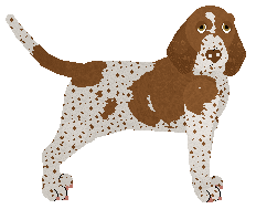 Profile image of Coventry's Cease to Exist