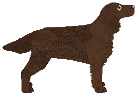 Coventry's Rather Wordy — “Vocab”