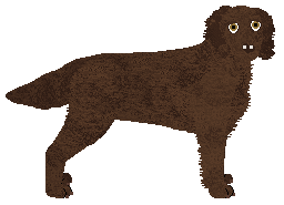 Profile image of Coventry's Rather Wordy