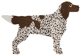 Coventry's Worldly Vanity — “Bobaunce”