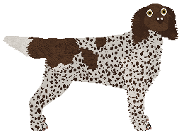 Profile image of Coventry's Worldly Vanity