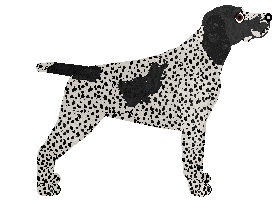 Coventry's Inspiring Trust — “Winsome”