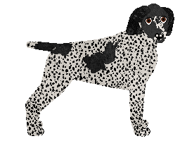 Profile image of Coventry's Inspiring Trust