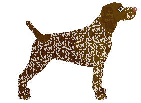 Coventry's Rapid Rev — “Revvy”