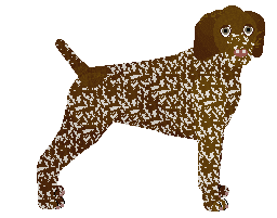 Profile image of Coventry's Rapid Rev