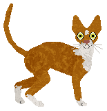 Bespoke's Manifest Destiny — “Manifest”