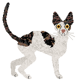 Bespoke's Moral Integrity — “Kacirk”