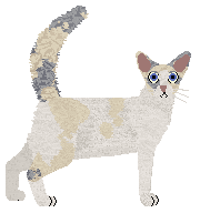 Bespoke's Take Pride in Presentation — “Preena”