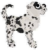 Poppyhill's Stone Mosaic — “Cobble”