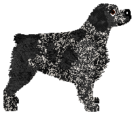 Dragosani PIEPRZ MIELONY — “Pieprz”