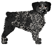 Profile image of Dragosani PIEPRZ MIELONY