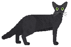 Raposa Leading Duet — “Brett”