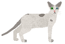 Raposa Friendly Ghost — “Kasper”