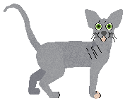 Profile image of Raposa Pavlova