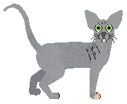 Raposa Pavlova — “Pava”