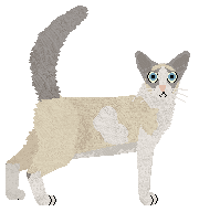 Raposa Stay Bright — “Jovian”