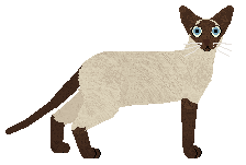 Raposa In My Orbit — “Thebe”