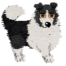 Profile image of Royalty's Fashion Designer at Fleetrun