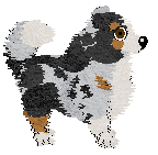 Moonvale's Heritage Roadster at Fleetrun — “Shelby”