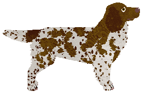 Filigree's Fire of Victory — “Gringo”