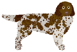 Profile image of Filigree's Fire of Victory