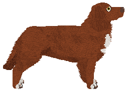 Delfire's What is hard, is the best — “Sella”