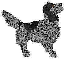 Frogbowl Gently Does It — “Clem”