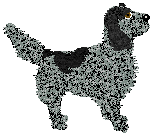 Frogbowl Gently Does It — “Clem”