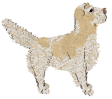 Frogbowl Pick A Petal — “Daisy”