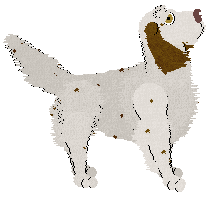 Frogbowl Pop Till You Drop — “Poppy”