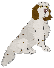 Profile image of Frogbowl Pop Till You Drop