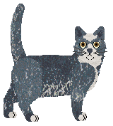 Tangled's Way of Thinking — “Bluey”