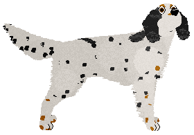 Profile image of Ancunin Stars Are Out Tonight