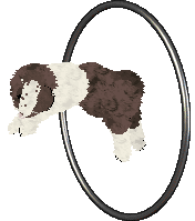 CHOCOLATE CAKE at Tontorino — “Lake”