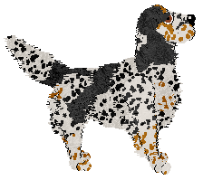 Frogbowl Blooming Love — “Ren”